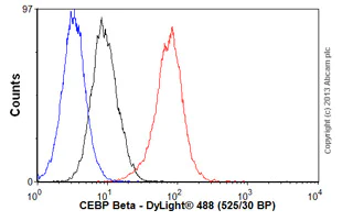 Flow Cytometry (Intracellular) - Anti-CEBP Beta antibody [E299] - BSA and Azide free (AB220813)