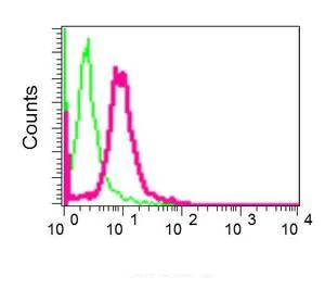 Flow Cytometry (Intracellular) - Anti-CELF-6 antibody [EPR10155] - BSA and Azide free (AB249746)