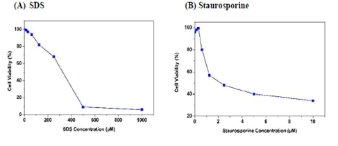 Functional Studies - Cell Counting Kit 8 (WST-8 / CCK8) (AB228554)