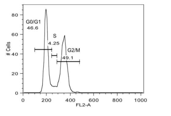 Functional Studies - Cell Cycle Analysis Kit (AB287852)