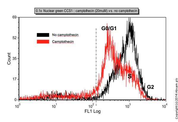 Flow Cytometry - Cell Cycle Assay Kit (Fluorometric - Green) (AB112116)
