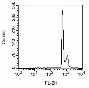 Flow Cytometry - Cell Cycle Assay Kit (Fluorometric - Red) (AB112117), expandable thumbnail