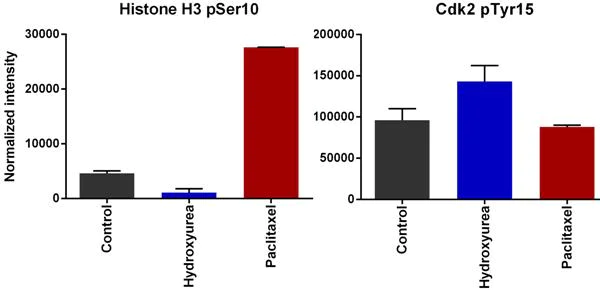 In-Cell ELISA - Cell Cycle In-Cell ELISA Kit (Fluorescent) (AB140363)