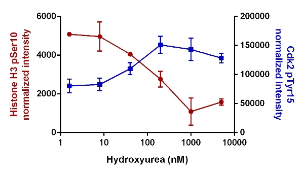 In-Cell ELISA - Cell Cycle In-Cell ELISA Kit (Fluorescent) (AB140363)