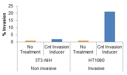 Functional Studies - Cell Invasion Assay (Basement Membrane), 96-well, 8 µm (AB235697)