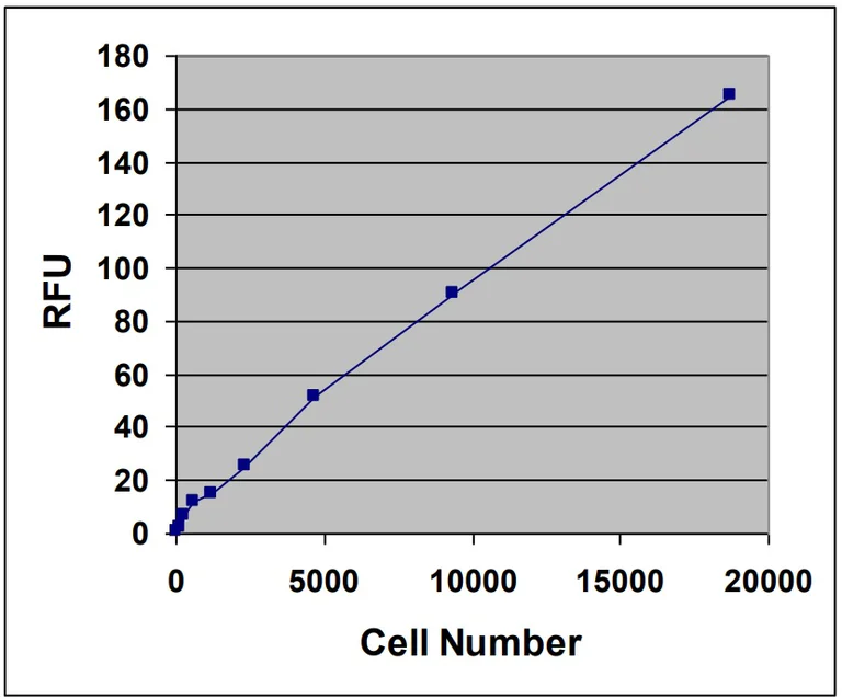 Functional Studies - Cell Invasion (Basement Membrane)-Fluorometric (AB325581)