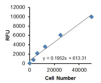 Functional Studies - Cell Migration/Chemotaxis Assay Kit (12-tests, 5 µm) (AB235696)
