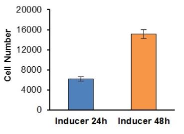 Functional Studies - Cell Migration/Chemotaxis Assay Kit (12-tests, 5 µm) (AB235696)