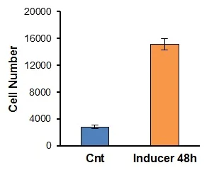 Functional Studies - Cell Migration/Chemotaxis Assay Kit (96-well, 5 µm) (AB235693)