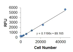 Functional Studies - Cell Migration/Chemotaxis Assay Kit (96-well, 8 µm) (AB235673)