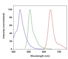 Functional Studies - Cell Proliferation Staining Reagent - Blue Fluorescence (Ex 405 nm) - Cytopainter (AB176726)