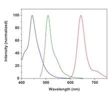 Functional Studies - Cell Proliferation Staining Reagent - Blue Fluorescence (Ex 405 nm) - Cytopainter (AB176726)