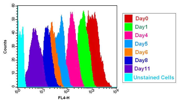 Flow Cytometry - Cell Proliferation Staining Reagent - Deep Red Fluorescence - Cytopainter (AB176736)