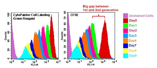 Flow Cytometry - Cell Proliferation Staining Reagent - Green Fluorescence - Cytopainter (AB176735)