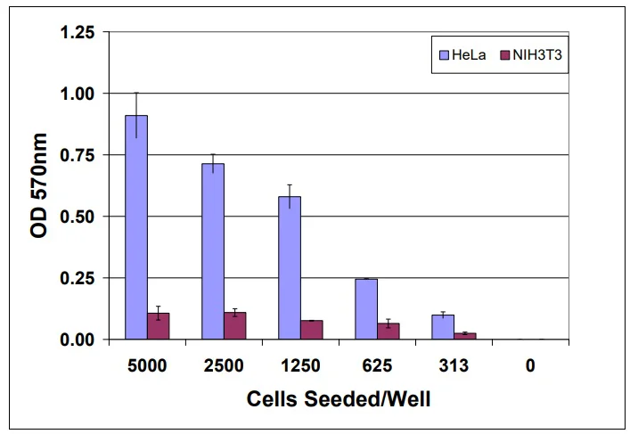 Functional Studies - Cell Transformation Assay (Cell Recovery Compatible) (AB325582)