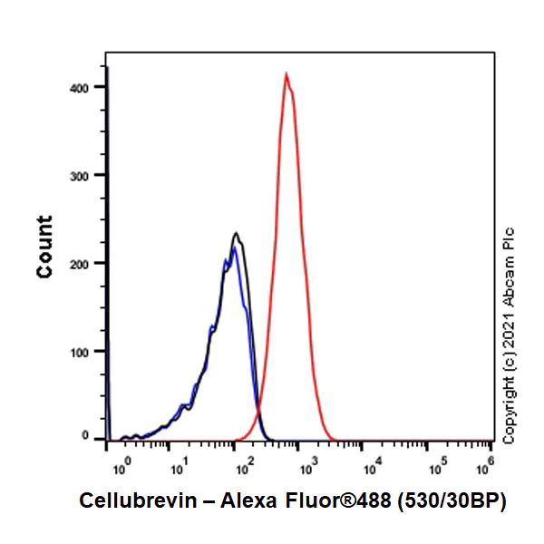 Flow Cytometry (Intracellular) - Anti-Cellubrevin antibody [EPR25065-16] (AB283312)