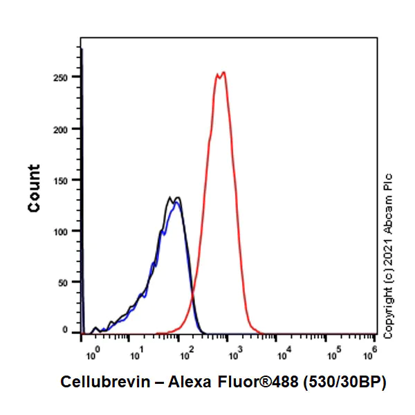 Flow Cytometry (Intracellular) - Anti-Cellubrevin antibody [EPR25065-16] - BSA and Azide free (AB283332)