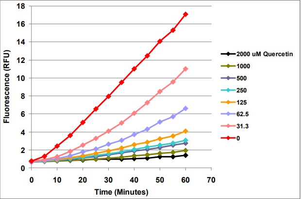 Cellular Activity - Cellular Antioxidant Assay Kit (AB242300), expandable thumbnail