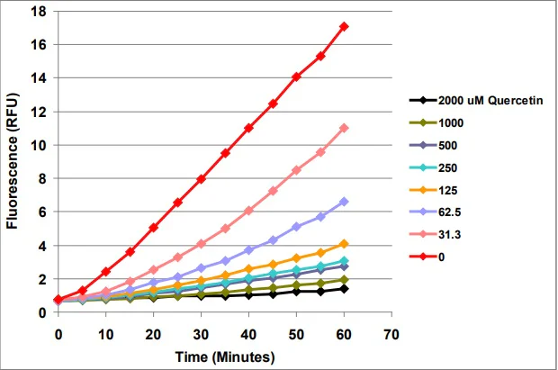 Functional Studies (Act) - Cellular Antioxidant Assay Kit (AB242300)