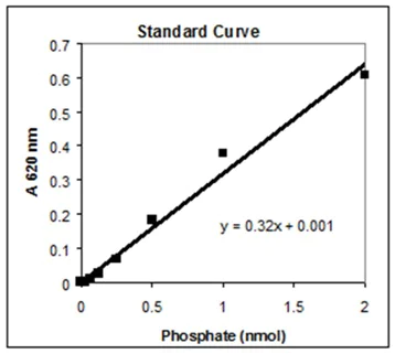 Functional Studies - Cellular Calcineurin Phosphatase Activity Assay Kit (Colorimetric) (AB139464)
