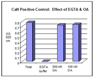 Functional Studies - Cellular Calcineurin Phosphatase Activity Assay Kit (Colorimetric) (AB139464)