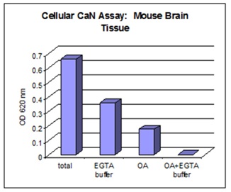 Functional Studies - Cellular Calcineurin Phosphatase Activity Assay Kit (Colorimetric) (AB139464)