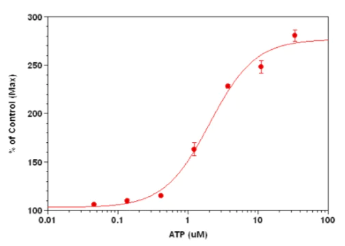 Functional Studies - Cellular Membrane Potential Assay Kit (Fluorometric - Red) (AB176765)