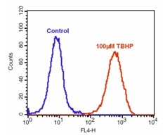 Functional Studies - Cellular ROS Assay Kit (Deep Red) (AB186029), expandable thumbnail