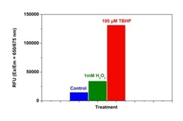 Functional Studies - Cellular ROS Assay Kit (Deep Red) (AB186029), expandable thumbnail