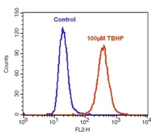 Functional Studies - Cellular ROS Assay Kit (Orange) (AB186028)