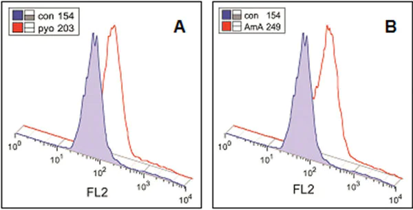 Flow Cytometry - Cellular Superoxide Detection Assay Kit (AB139477)