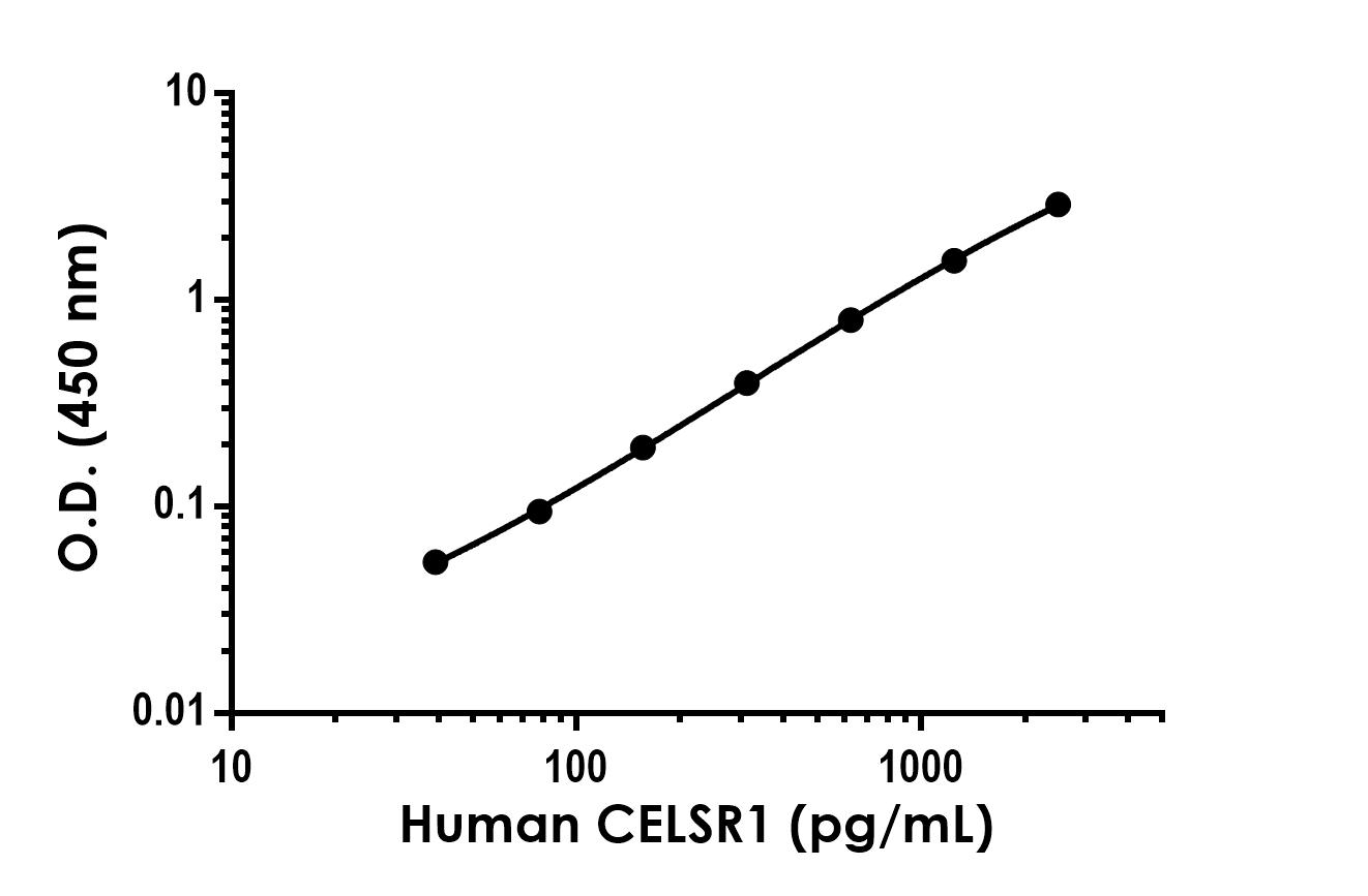 Sandwich ELISA - Anti-CELSR1 antibody [EPR26770-76] - BSA and Azide free (Detector) (AB316239)