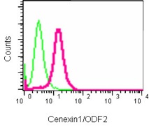 Flow Cytometry (Intracellular) - Anti-Cenexin1/ODF2 antibody [EPR13561] (AB186412), expandable thumbnail