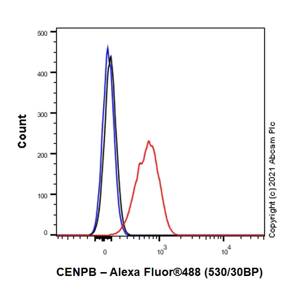 Flow Cytometry (Intracellular) - Anti-CENPB antibody [EPR24047-64] (AB259855)