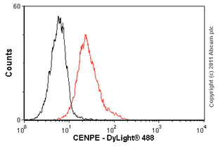 Flow Cytometry - Anti-CENPE antibody [1H12] (AB5093)