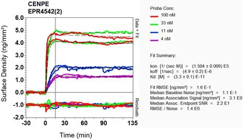 OI-RD Scanning - Anti-CENPE antibody [EPR4542(2)] - BSA and Azide free (AB248563)