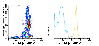 Flow Cytometry - CF405M Anti-CD43 antibody [TP1/36] (AB119482)