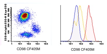 Flow Cytometry - CF405M Anti-CD98 antibody [FG1/8] (AB123635)