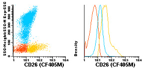 Flow Cytometry - CF405M Anti-DPP4 antibody [TP1/19] (AB119480)