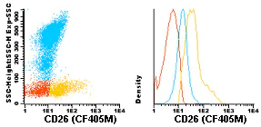 Flow Cytometry - CF405M Anti-DPP4 antibody [TP1/19] (AB119480)