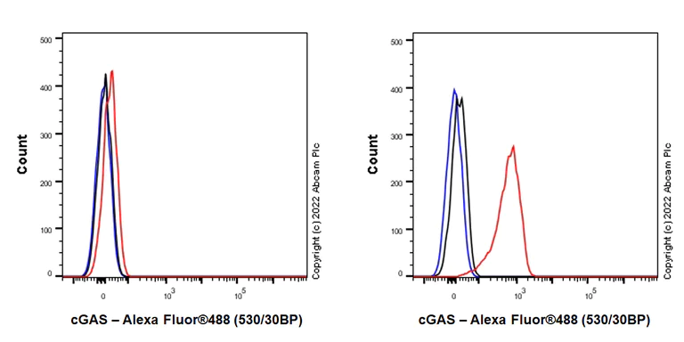 Flow Cytometry (Intracellular) - Anti-cGAS antibody [EPR26492-84] (AB302617)