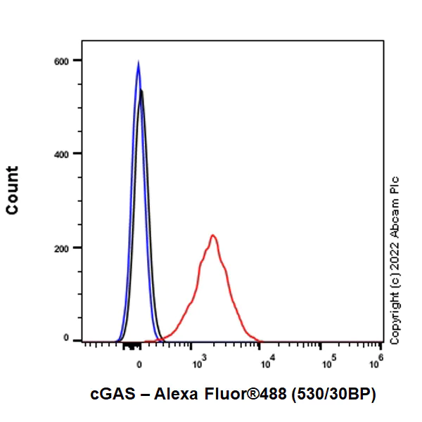 Flow Cytometry (Intracellular) - Anti-cGAS antibody [EPR26492-84] - BSA and Azide free (AB302618)
