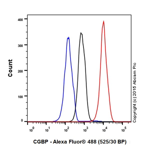 Flow Cytometry (Intracellular) - Anti-CGBP antibody [EPR19199] - ChIP Grade (AB198977)