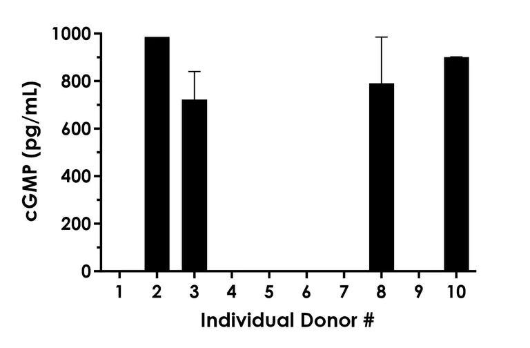 Competitive ELISA - cGMP ELISA Kit - Extracellular (AB323638)