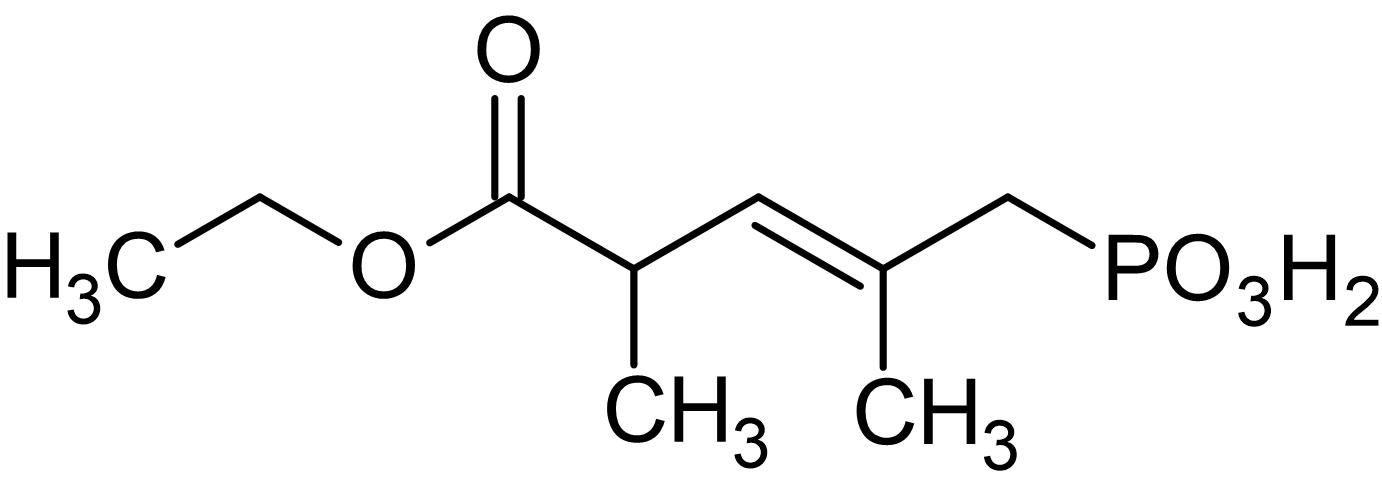 CGP 39551, competitive NMDA antagonist