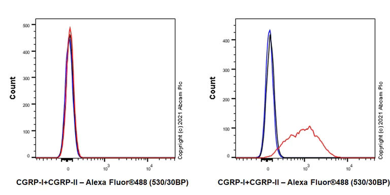 Flow Cytometry (Intracellular) - Anti-CGRP-I+CGRP-II antibody [EPR23804-95] (AB283568)