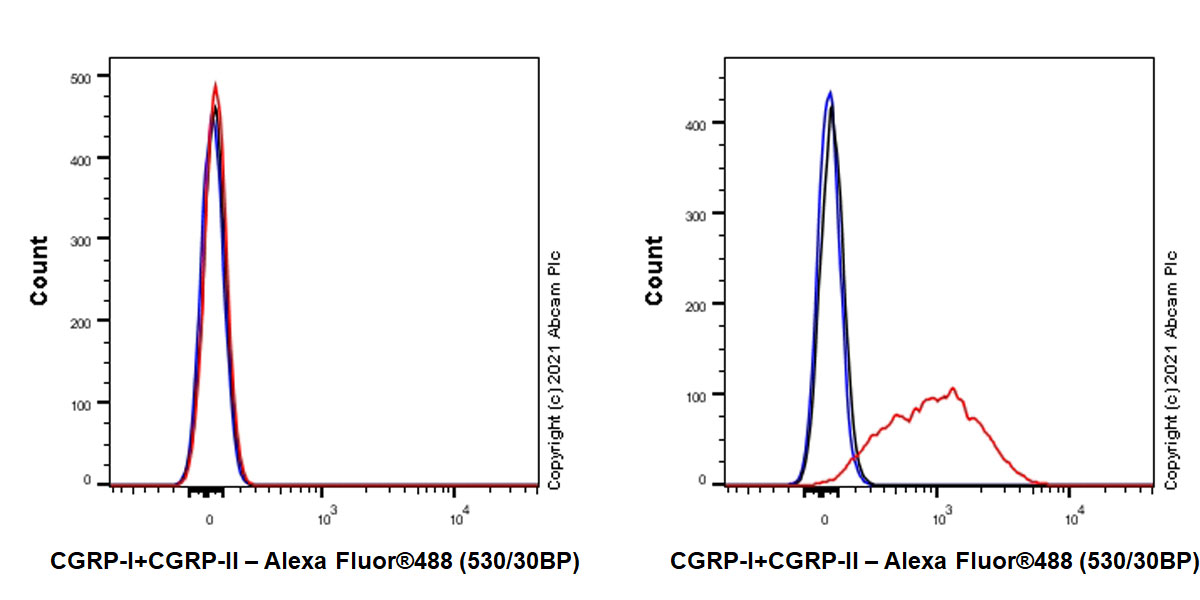 Flow Cytometry (Intracellular) - Anti-CGRP-I+CGRP-II antibody [EPR23804-95] - BSA and Azide free (ab283580), expandable thumbnail