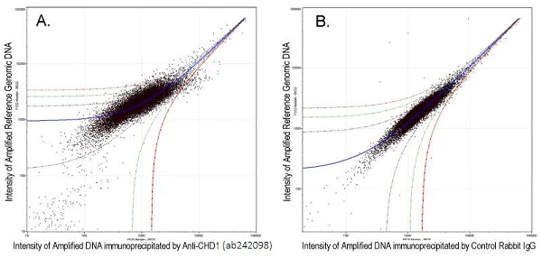 ChIP on chip - Anti-Chd1 antibody (AB242098)