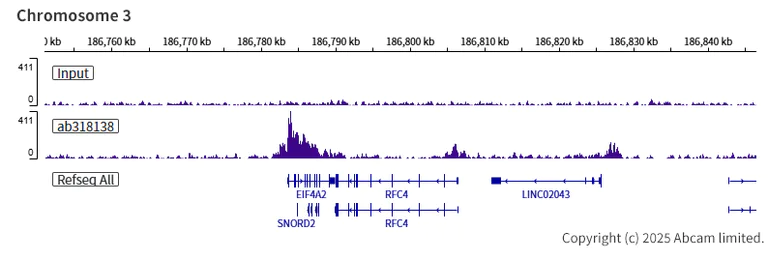 ChIP-sequencing - Anti-Chd1 antibody [EPR28727-78] (AB318138)