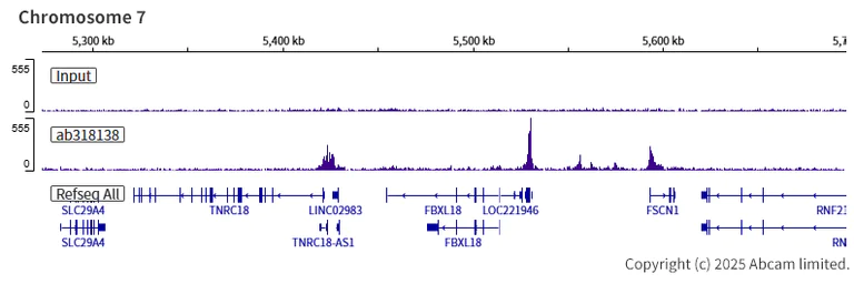ChIP-sequencing - Anti-Chd1 antibody [EPR28727-78] (AB318138)